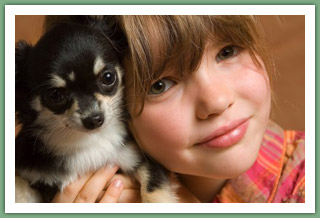 Chihuahua