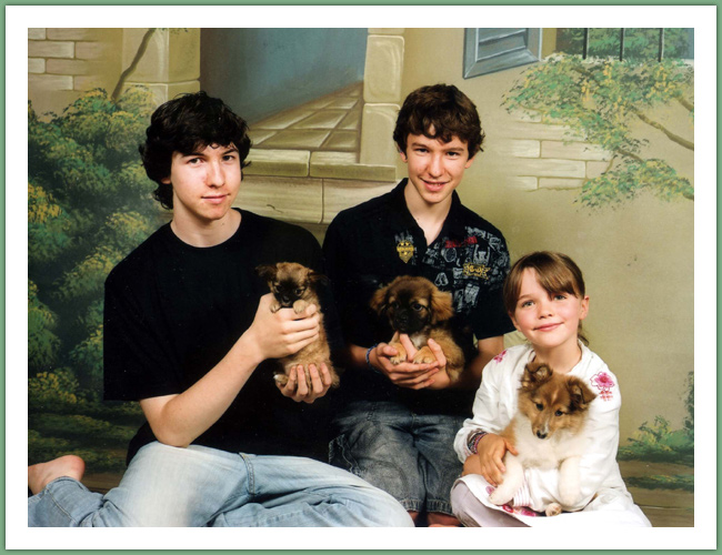 Persan - Chats
