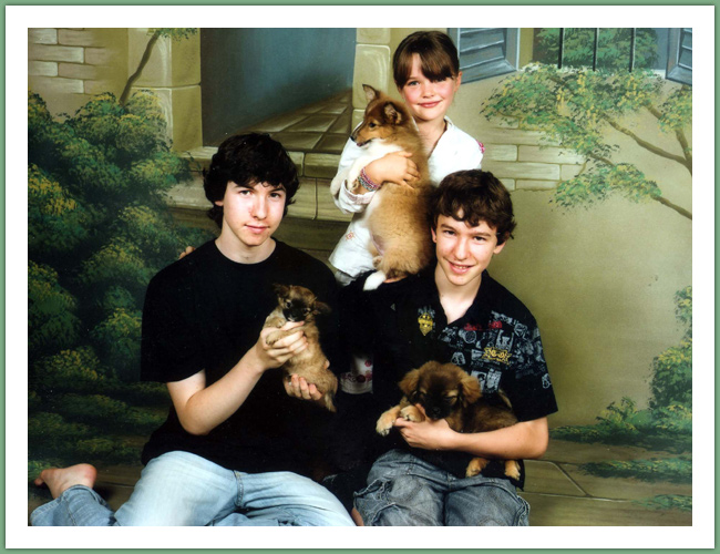 Persan - Chats