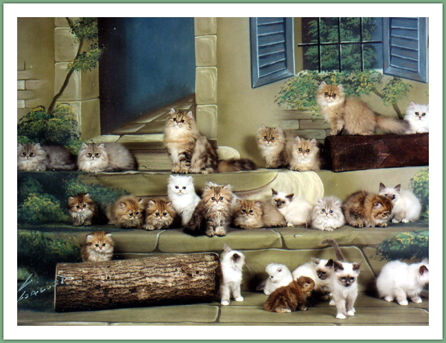Persan - Chats