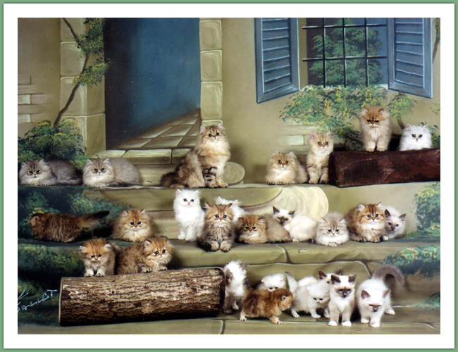 Persan - Chats