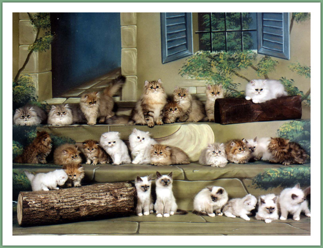 Persan - Chats