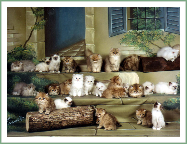 Persan - Chats
