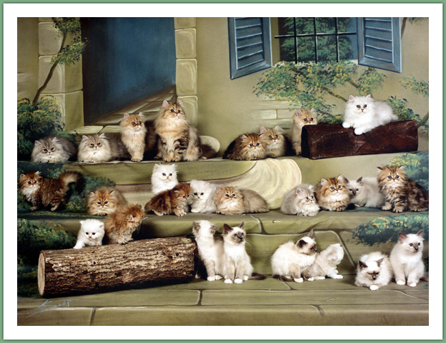 Persan - Chats