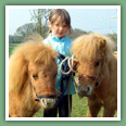 Poneys