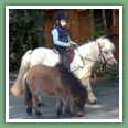 Poneys