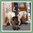 Poneys