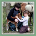 Poneys