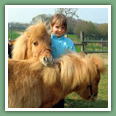 Poneys