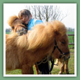 Poneys