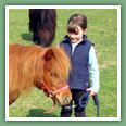 Poneys