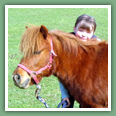 Poneys