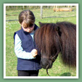 Poneys