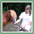 Poneys