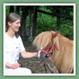 Poneys