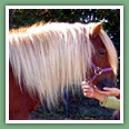 Poneys