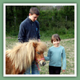 Poneys