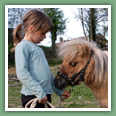 Poneys