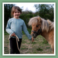 Poneys
